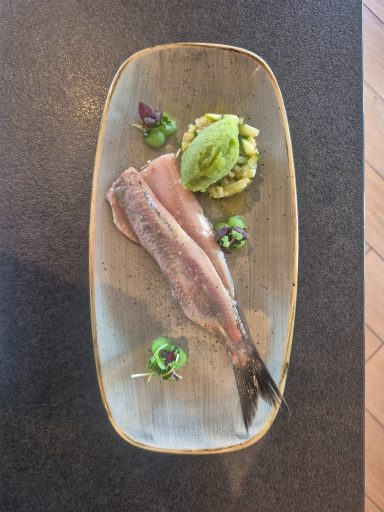 Matjes mit Gurke und Gin Matjes mit Gurke und Gin