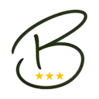 Favicon Brinckwirth